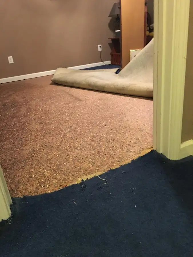 Carpet pad removal revealing water damage during Drying & Dehumidification in Boylston