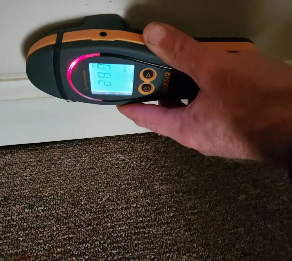 Moisture detection at baseboard during Sewage Cleanup & Sanitation in Boylston